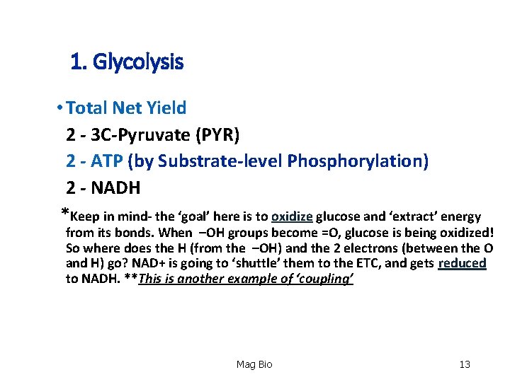 1. Glycolysis • Total Net Yield 2 - 3 C-Pyruvate (PYR) 2 - ATP