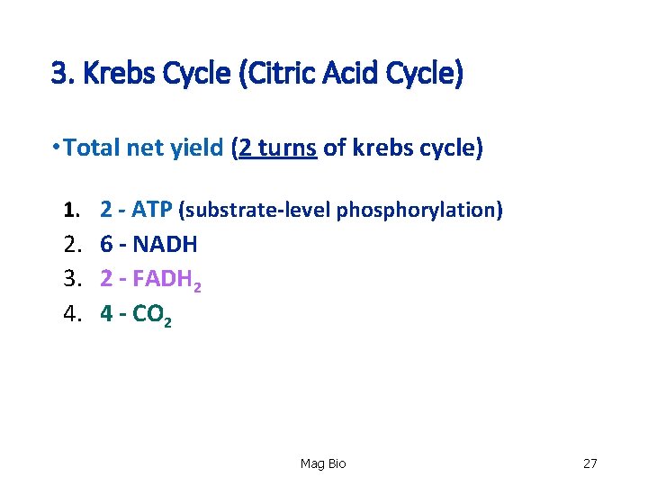 3. Krebs Cycle (Citric Acid Cycle) • Total net yield (2 turns of krebs