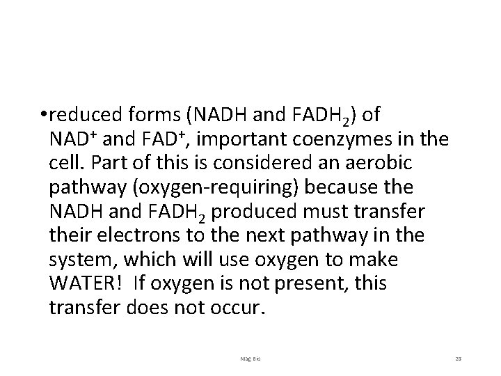  • reduced forms (NADH and FADH 2) of NAD+ and FAD+, important coenzymes
