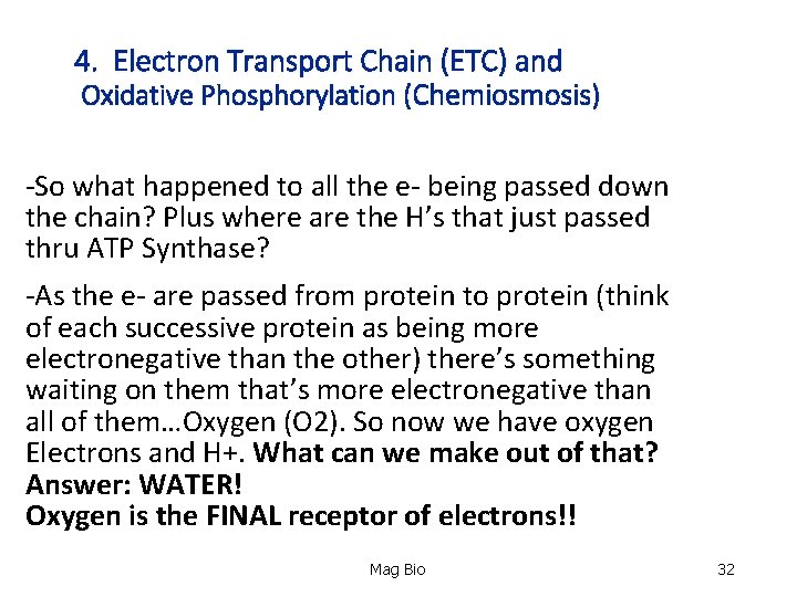 4. Electron Transport Chain (ETC) and Oxidative Phosphorylation (Chemiosmosis) -So what happened to all