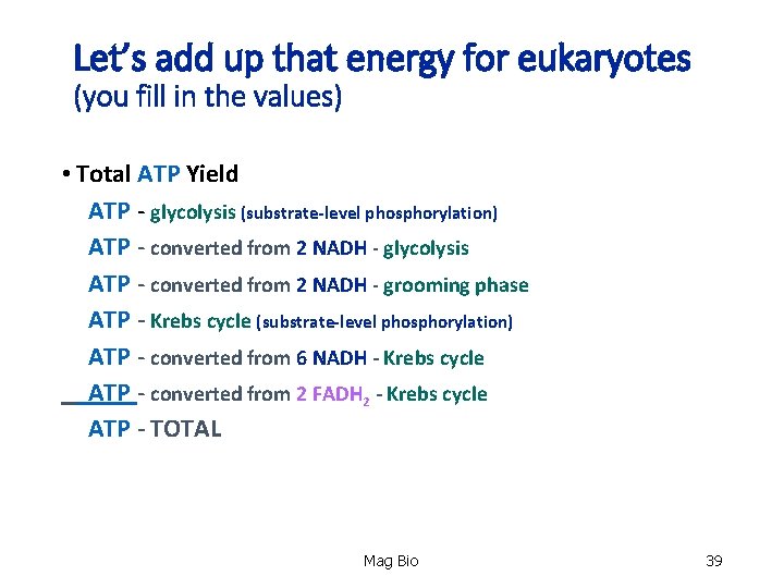 Let’s add up that energy for eukaryotes (you fill in the values) • Total