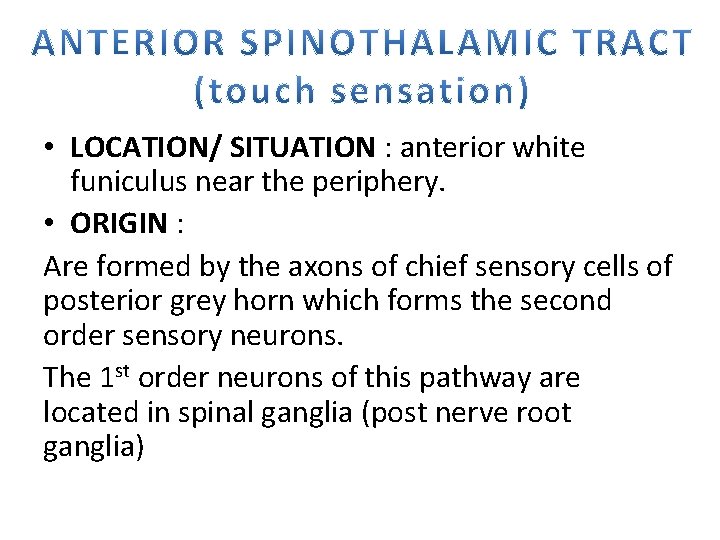  • LOCATION/ SITUATION : anterior white funiculus near the periphery. • ORIGIN :