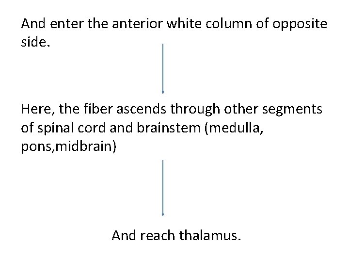 And enter the anterior white column of opposite side. Here, the fiber ascends through
