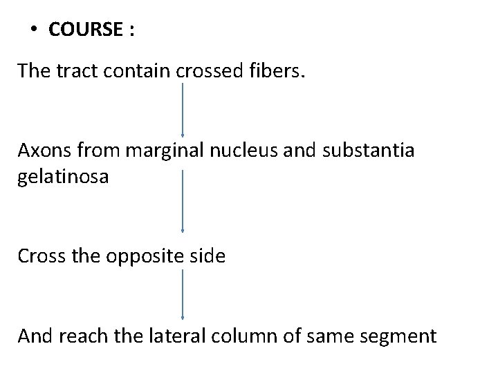  • COURSE : The tract contain crossed fibers. Axons from marginal nucleus and
