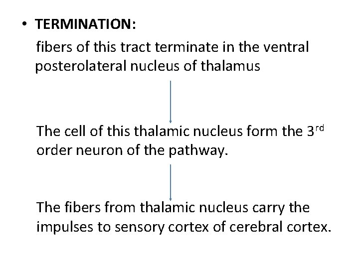  • TERMINATION: fibers of this tract terminate in the ventral posterolateral nucleus of