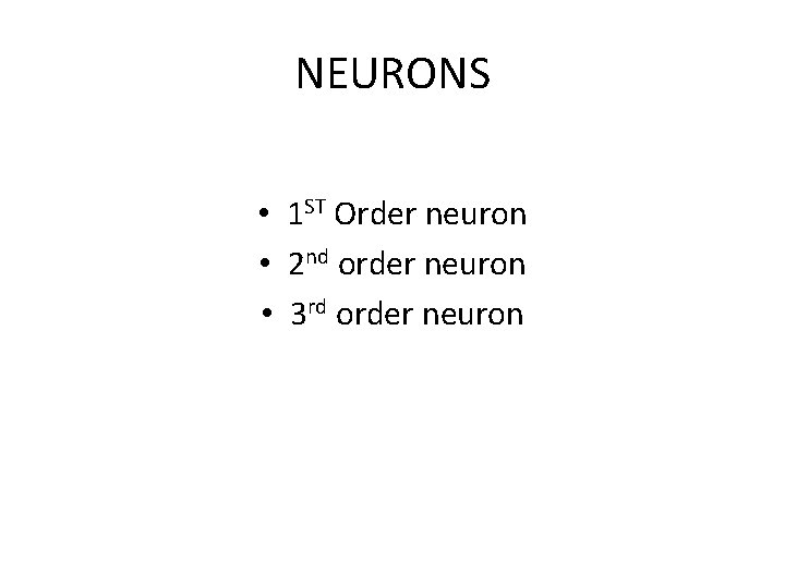 NEURONS • 1 ST Order neuron • 2 nd order neuron • 3 rd NEURONS • 1 ST Order neuron • 2 nd order neuron • 3 rd