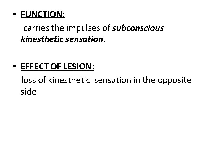  • FUNCTION: carries the impulses of subconscious kinesthetic sensation. • EFFECT OF LESION: