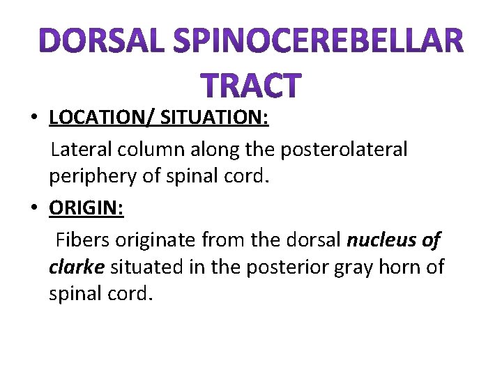  • LOCATION/ SITUATION: Lateral column along the posterolateral periphery of spinal cord. •