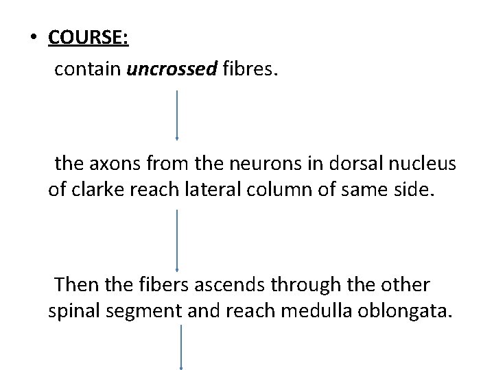  • COURSE: contain uncrossed fibres. the axons from the neurons in dorsal nucleus
