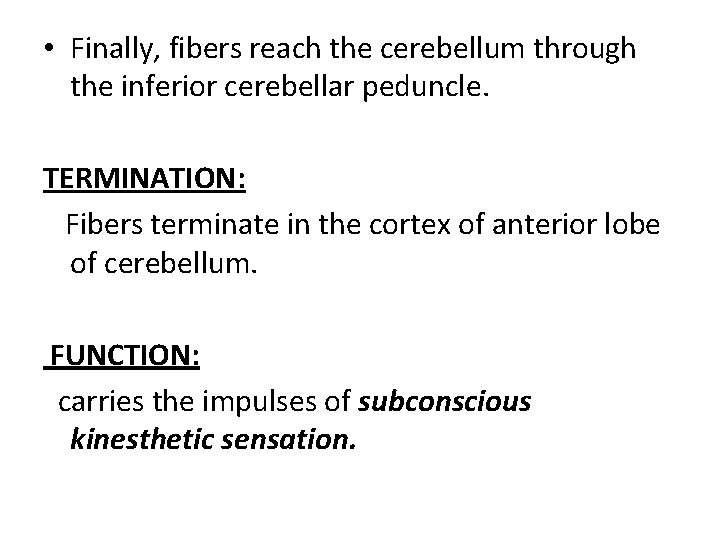  • Finally, fibers reach the cerebellum through the inferior cerebellar peduncle. TERMINATION: Fibers