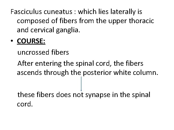 Fasciculus cuneatus : which lies laterally is composed of fibers from the upper thoracic