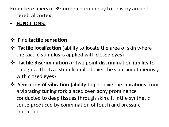 From here fibers of 3 rd order neuron relay to sensory area of cerebral From here fibers of 3 rd order neuron relay to sensory area of cerebral