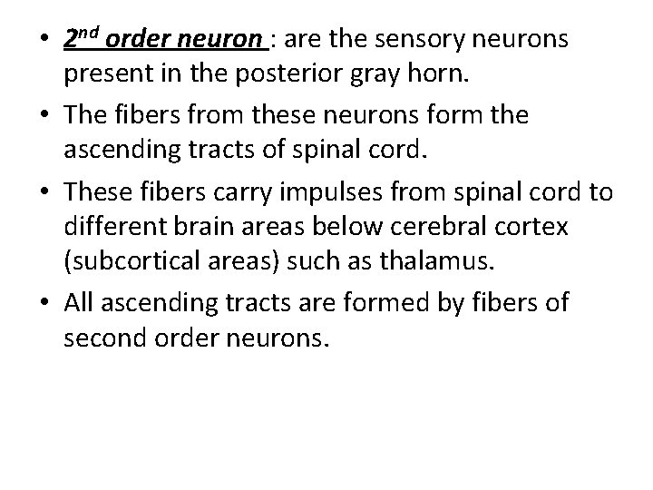  • 2 nd order neuron : are the sensory neurons present in the