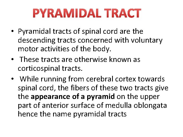 PYRAMIDAL TRACT • Pyramidal tracts of spinal cord are the descending tracts concerned with
