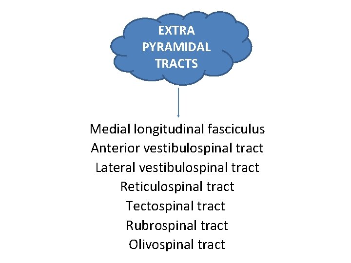 EXTRA PYRAMIDAL TRACTS Medial longitudinal fasciculus Anterior vestibulospinal tract Lateral vestibulospinal tract Reticulospinal tract EXTRA PYRAMIDAL TRACTS Medial longitudinal fasciculus Anterior vestibulospinal tract Lateral vestibulospinal tract Reticulospinal tract