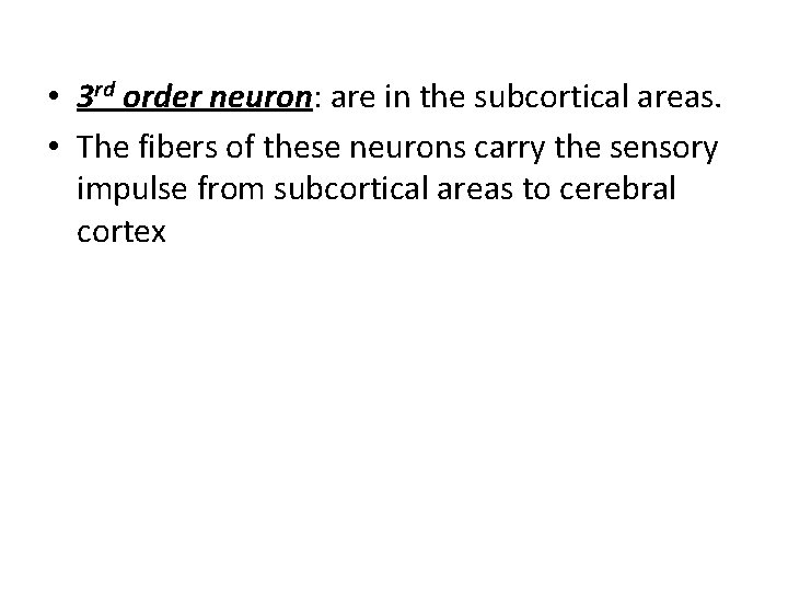  • 3 rd order neuron: are in the subcortical areas. • The fibers