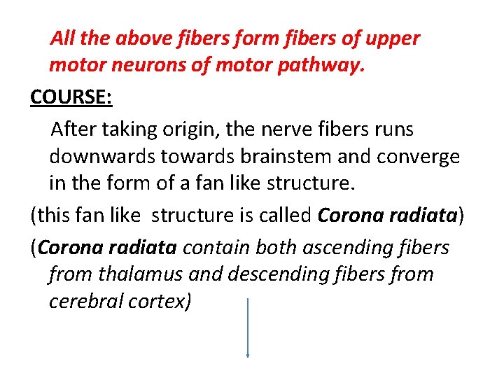 All the above fibers form fibers of upper motor neurons of motor pathway. COURSE: