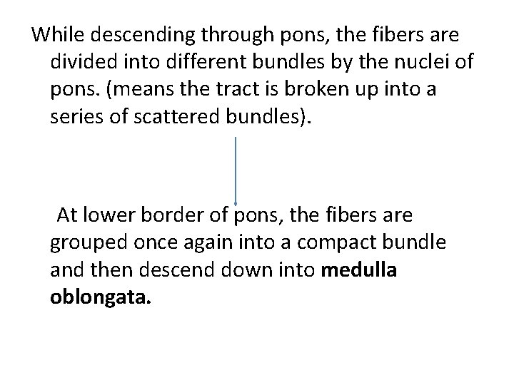 While descending through pons, the fibers are divided into different bundles by the nuclei