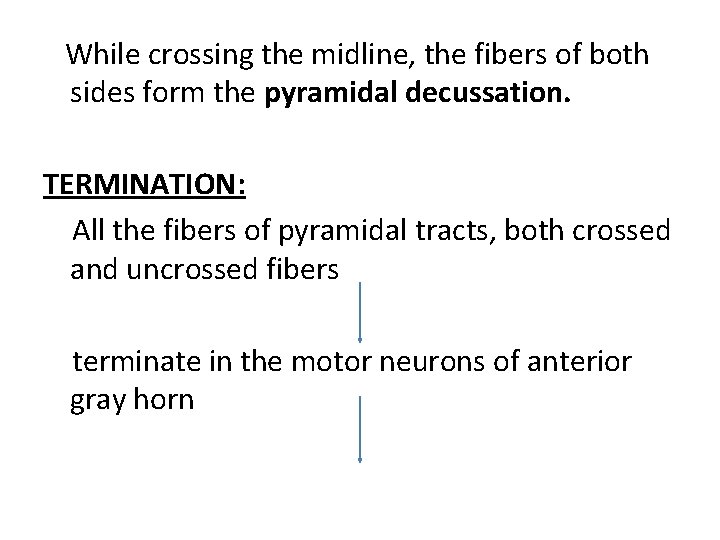 While crossing the midline, the fibers of both sides form the pyramidal decussation. TERMINATION: While crossing the midline, the fibers of both sides form the pyramidal decussation. TERMINATION: