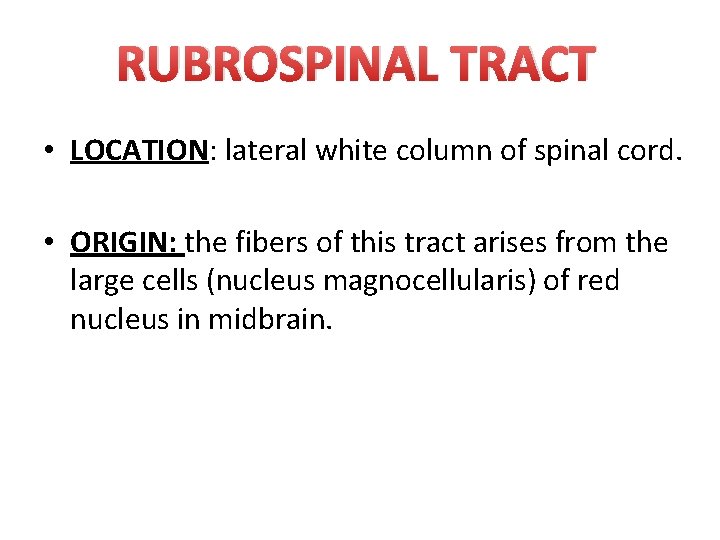 RUBROSPINAL TRACT • LOCATION: lateral white column of spinal cord. • ORIGIN: the fibers
