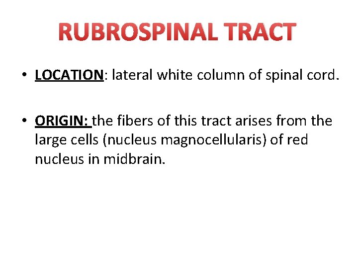 RUBROSPINAL TRACT • LOCATION: lateral white column of spinal cord. • ORIGIN: the fibers RUBROSPINAL TRACT • LOCATION: lateral white column of spinal cord. • ORIGIN: the fibers