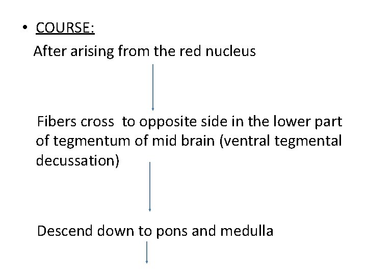  • COURSE: After arising from the red nucleus Fibers cross to opposite side
