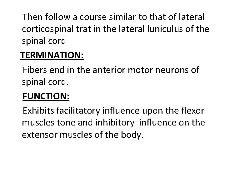 Then follow a course similar to that of lateral corticospinal trat in the lateral Then follow a course similar to that of lateral corticospinal trat in the lateral