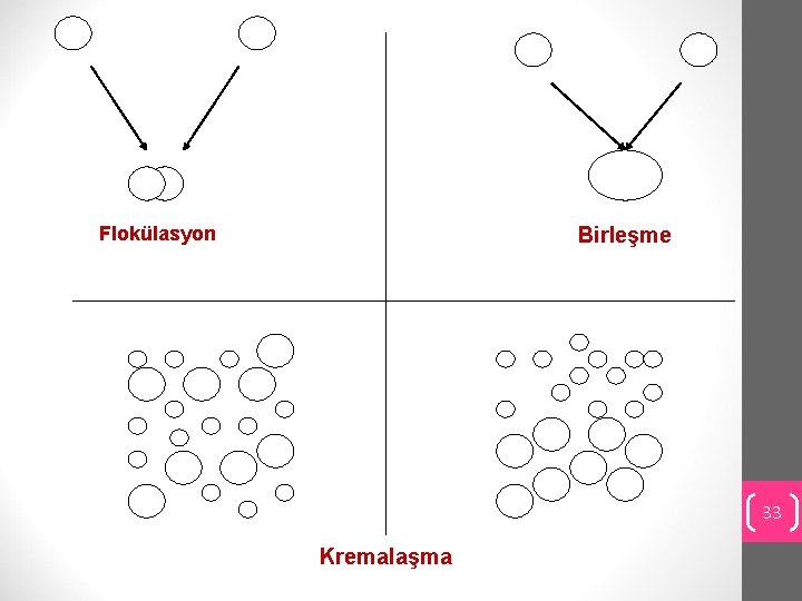 Flokülasyon Birleşme 33 Kremalaşma 