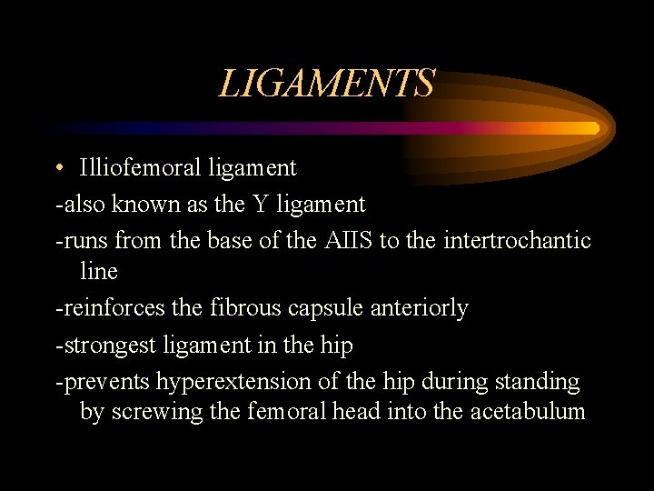 LIGAMENTS • Illiofemoral ligament -also known as the Y ligament -runs from the base