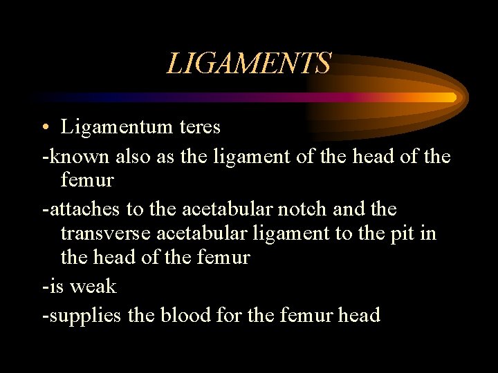 LIGAMENTS • Ligamentum teres -known also as the ligament of the head of the
