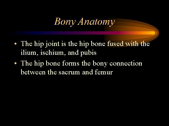 Bony Anatomy • The hip joint is the hip bone fused with the ilium,