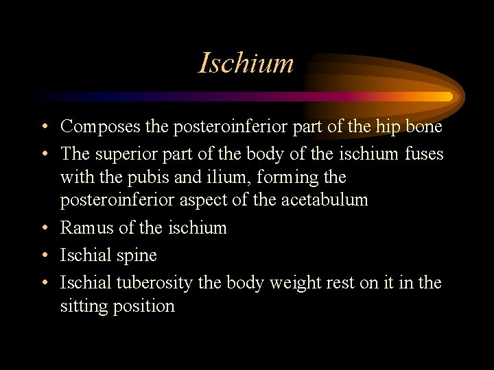 Ischium • Composes the posteroinferior part of the hip bone • The superior part