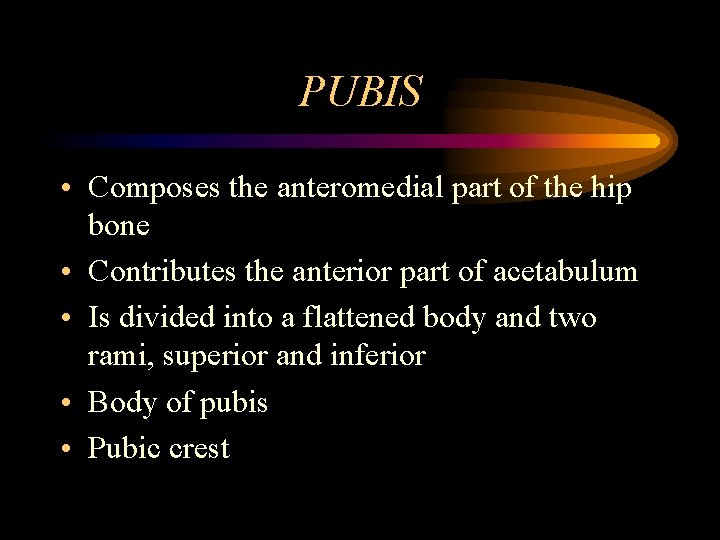 PUBIS • Composes the anteromedial part of the hip bone • Contributes the anterior