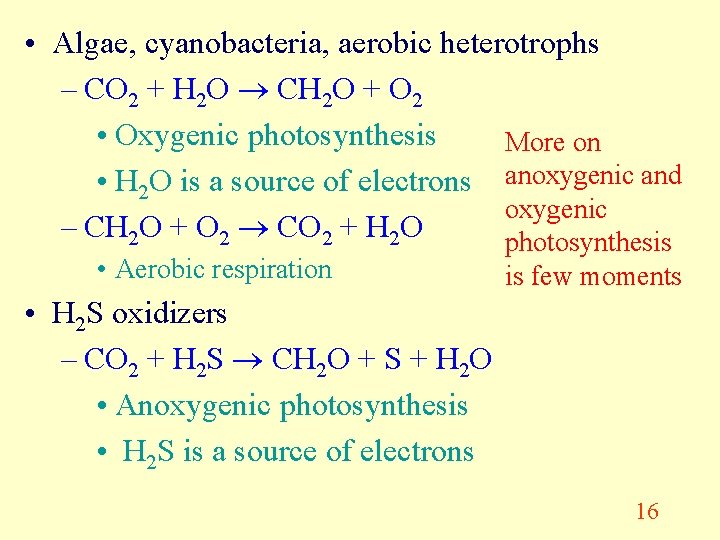  • Algae, cyanobacteria, aerobic heterotrophs – CO 2 + H 2 O CH