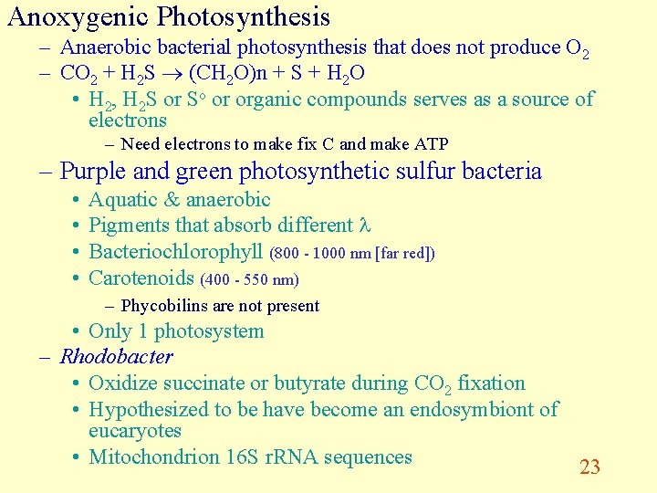 Anoxygenic Photosynthesis – Anaerobic bacterial photosynthesis that does not produce O 2 – CO