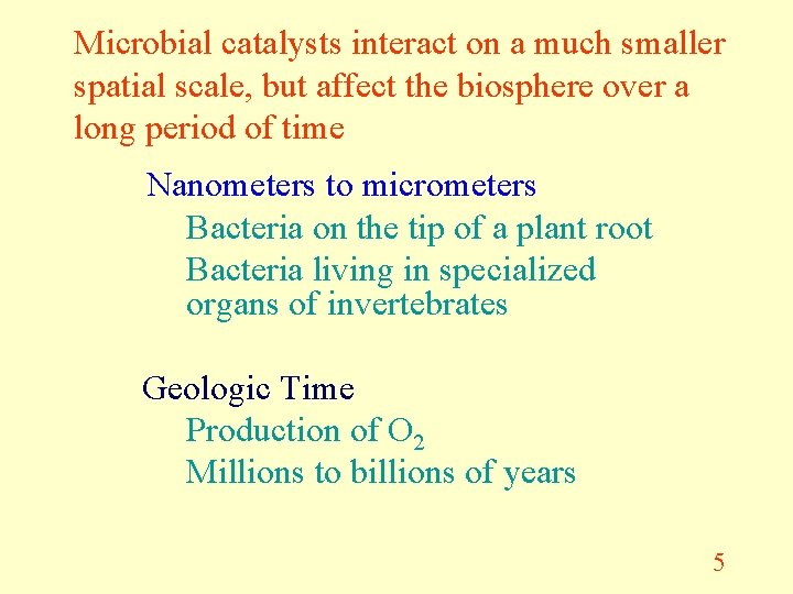Microbial catalysts interact on a much smaller spatial scale, but affect the biosphere over