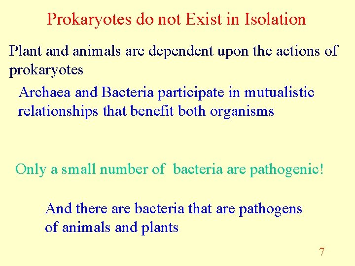 Prokaryotes do not Exist in Isolation Plant and animals are dependent upon the actions