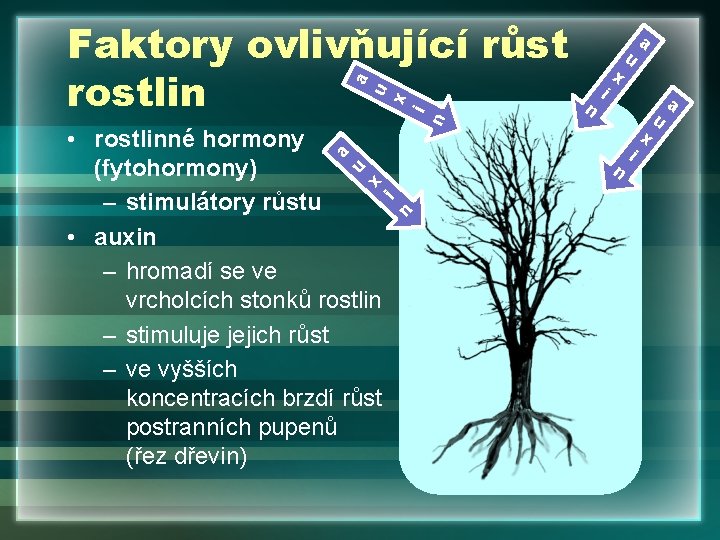 a • rostlinné hormony (fytohormony) – stimulátory růstu • auxin – hromadí se ve