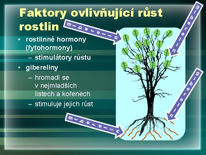 g g i b e r e l Faktory ovlivňující růst rostlin i n