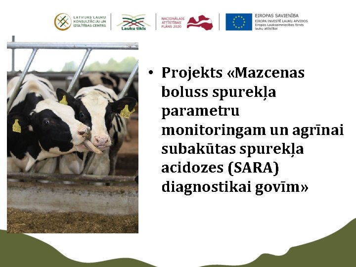  • Projekts «Mazcenas boluss spurekļa parametru monitoringam un agrīnai subakūtas spurekļa acidozes (SARA)