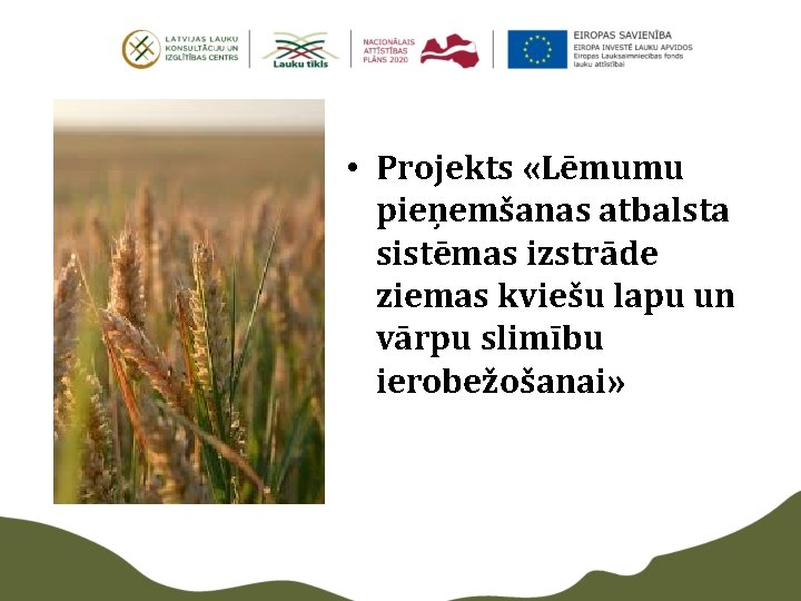  • Projekts «Lēmumu pieņemšanas atbalsta sistēmas izstrāde ziemas kviešu lapu un vārpu slimību