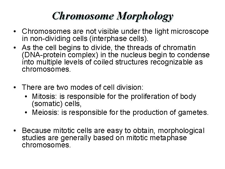 Chromosome Morphology • Chromosomes are not visible under the light microscope in non-dividing cells