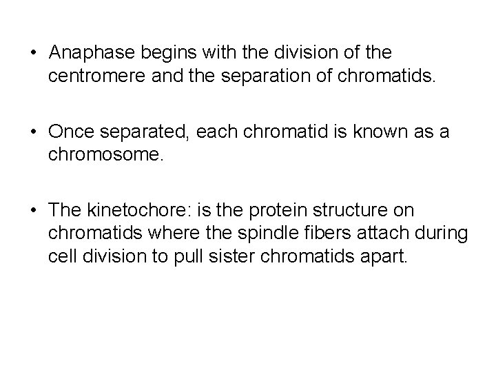  • Anaphase begins with the division of the centromere and the separation of