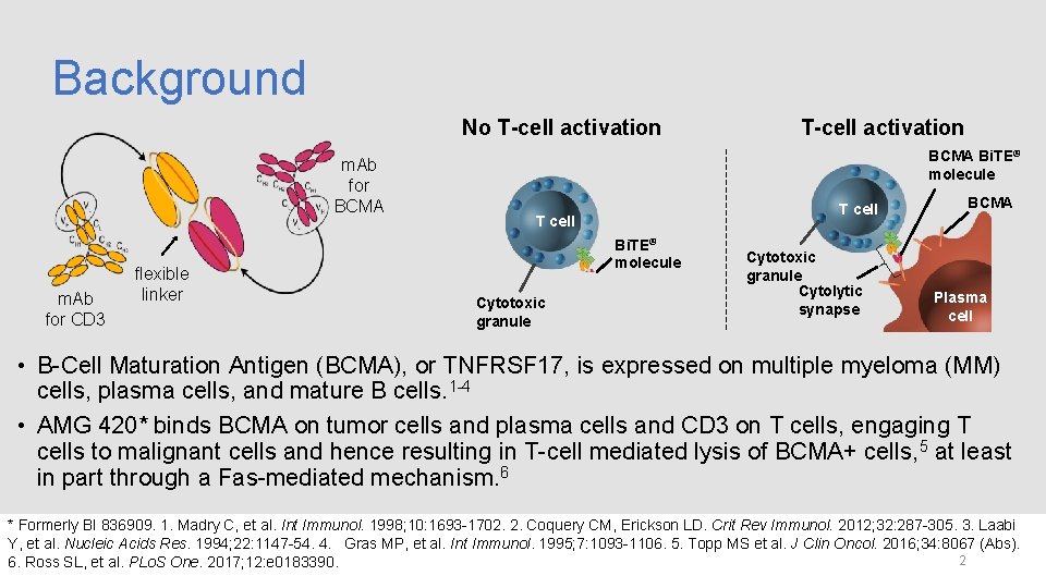 Background No T-cell activation m. Ab for BCMA m. Ab for CD 3 flexible