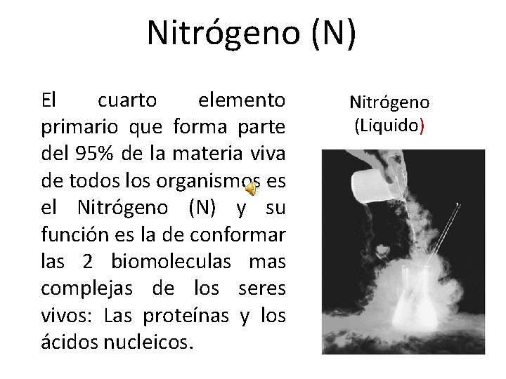 Nitrógeno (N) El cuarto elemento primario que forma parte del 95% de la materia