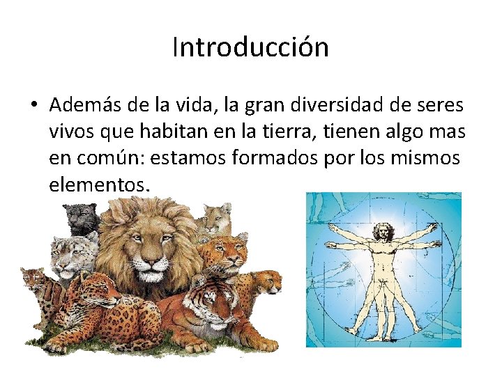 Introducción • Además de la vida, la gran diversidad de seres vivos que habitan