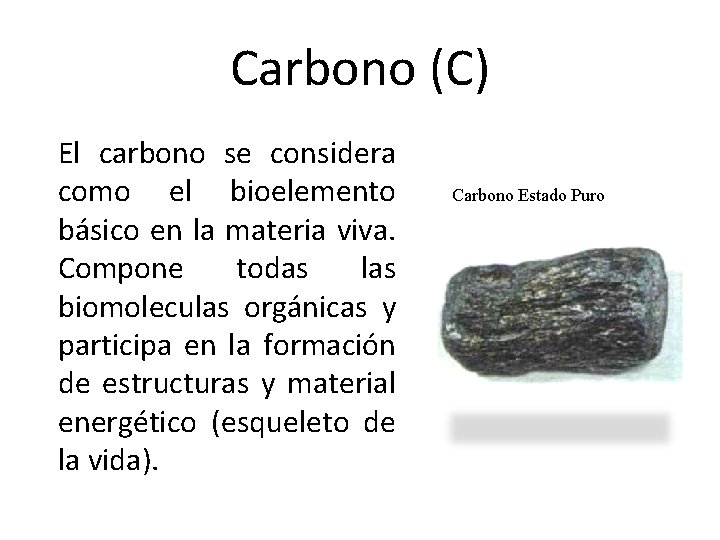 Carbono (C) El carbono se considera como el bioelemento básico en la materia viva.