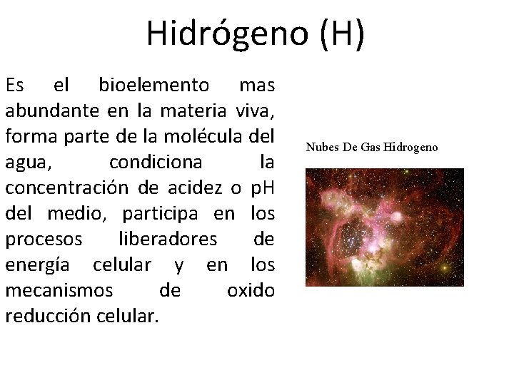 Hidrógeno (H) Es el bioelemento mas abundante en la materia viva, forma parte de