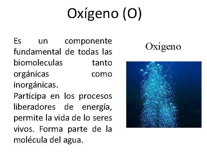 Oxígeno (O) Es un componente fundamental de todas las biomoleculas tanto orgánicas como inorgánicas.