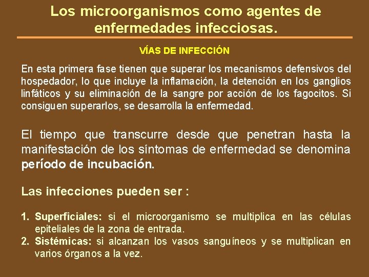 Los microorganismos como agentes de enfermedades infecciosas. VÍAS DE INFECCIÓN En esta primera fase